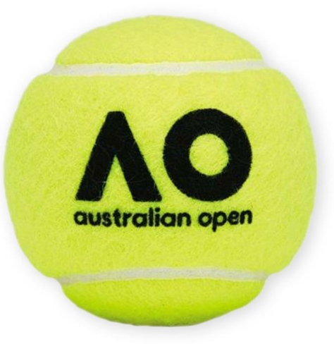 Dunlop Australian Open Case